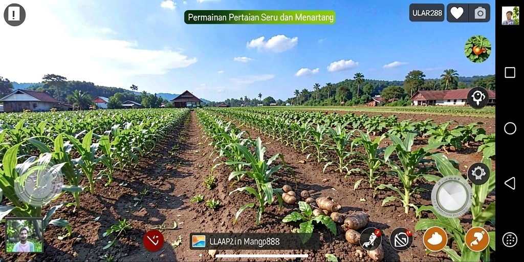 Tangkapan layar gameplay ULAR288 dengan aktivitas bertani yang seru.